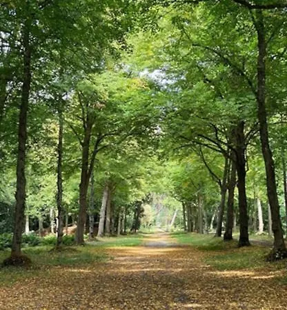 Appartamento In De Aap- Casa Di Loggia Bergen